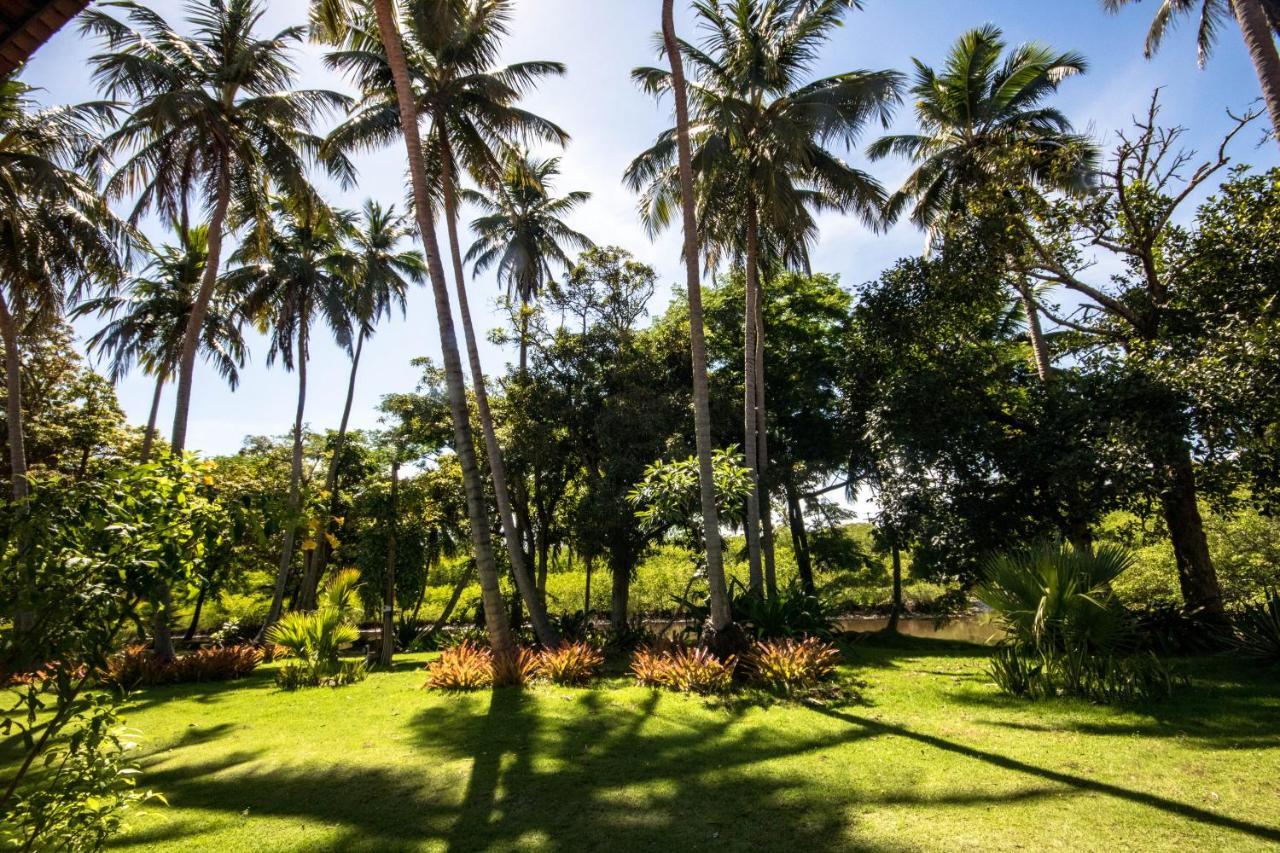 Eco Pousada Paraíso dos Coqueirais Japaratinga Exterior foto